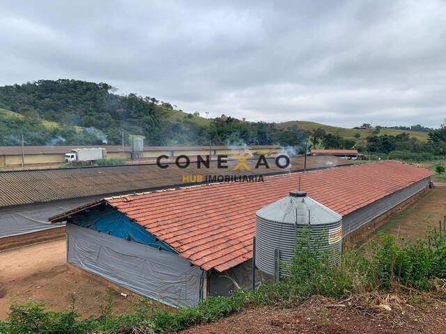 #51 - Sítio para Venda em Cabreúva - SP - 1