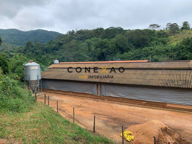 Sítio para Venda em Cabreúva - 5