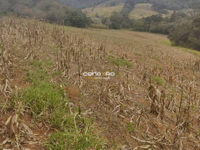 #92 - Fazenda para Venda em Cabreúva - SP - 3