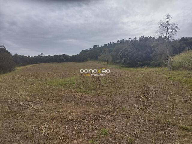 Fazenda para Venda em Cabreúva - 4