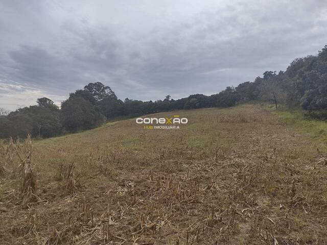 #92 - Fazenda para Venda em Cabreúva - SP - 1