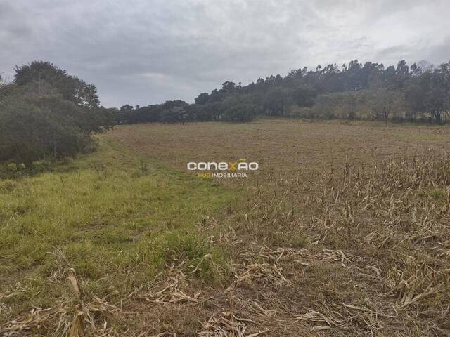 Fazenda para Venda em Cabreúva - 5