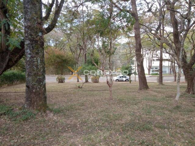 #255 - Área para Venda em Cabreúva - SP - 1